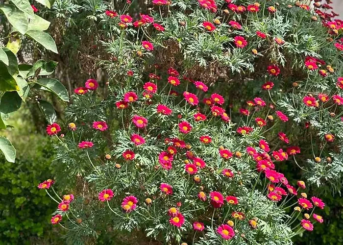 Loft House * Vraháti